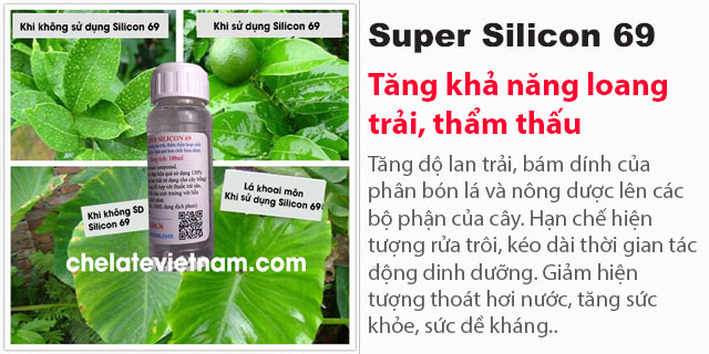 Bán Super Silicon 69 tăng khả năng lan trải, thẩm thấu hoạt chất trên bề mặt lá